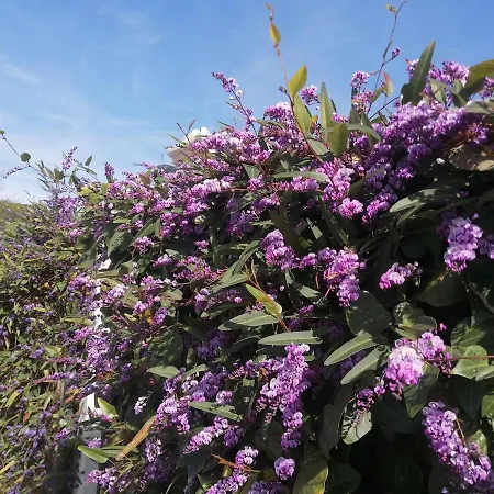 Petite Maison 2 Personnes, 3 Etoiles, 900m Six-Fours-les-Plages