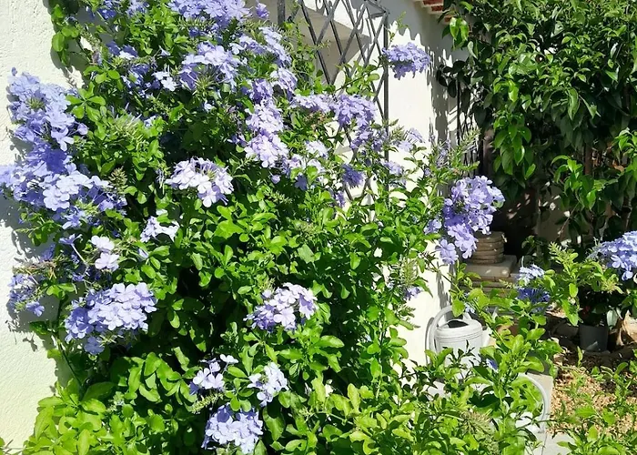 Petite Maison 2 Personnes, 3 Etoiles, 900m *