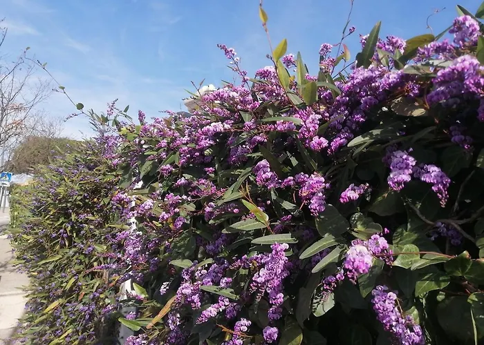 Petite Maison 2 Personnes, 3 Etoiles, 900m Six-Fours-les-Plages